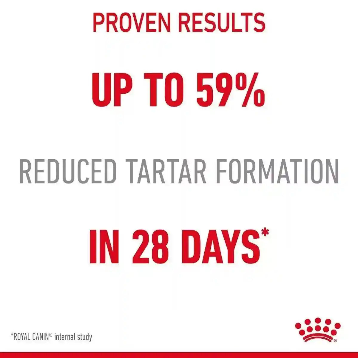 Royal Canin Dental Care Adult Dry Cat Food 400g