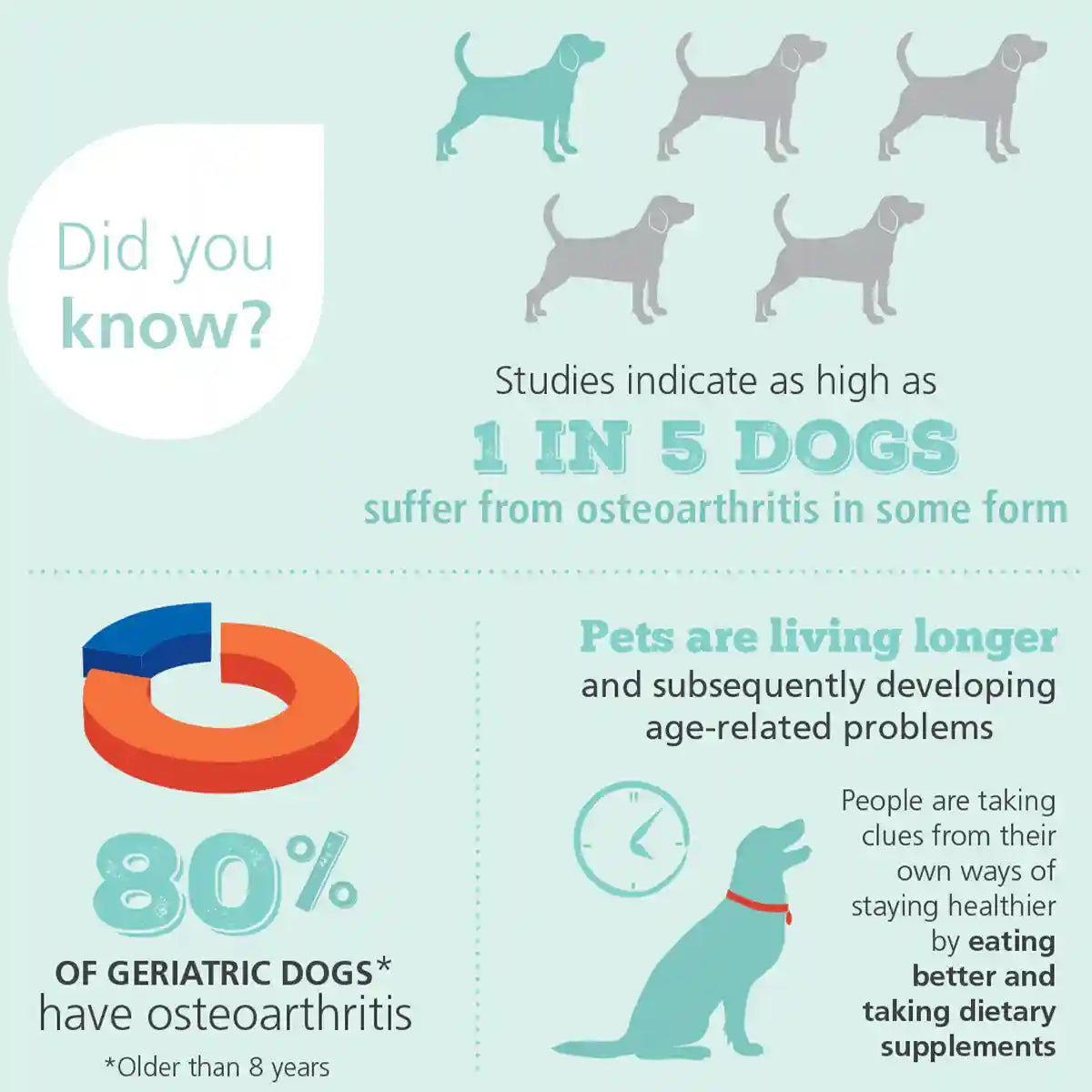 100G 4CYTE DOG GRANULES