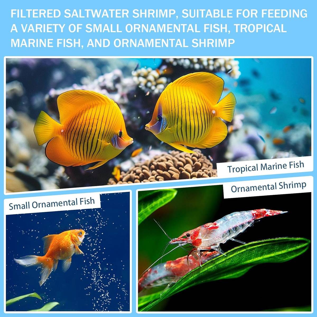 Fine Mesh Aquarium Filter Net 3PCS 200 Mesh Cone Funnel Reusable Nylon Sieve