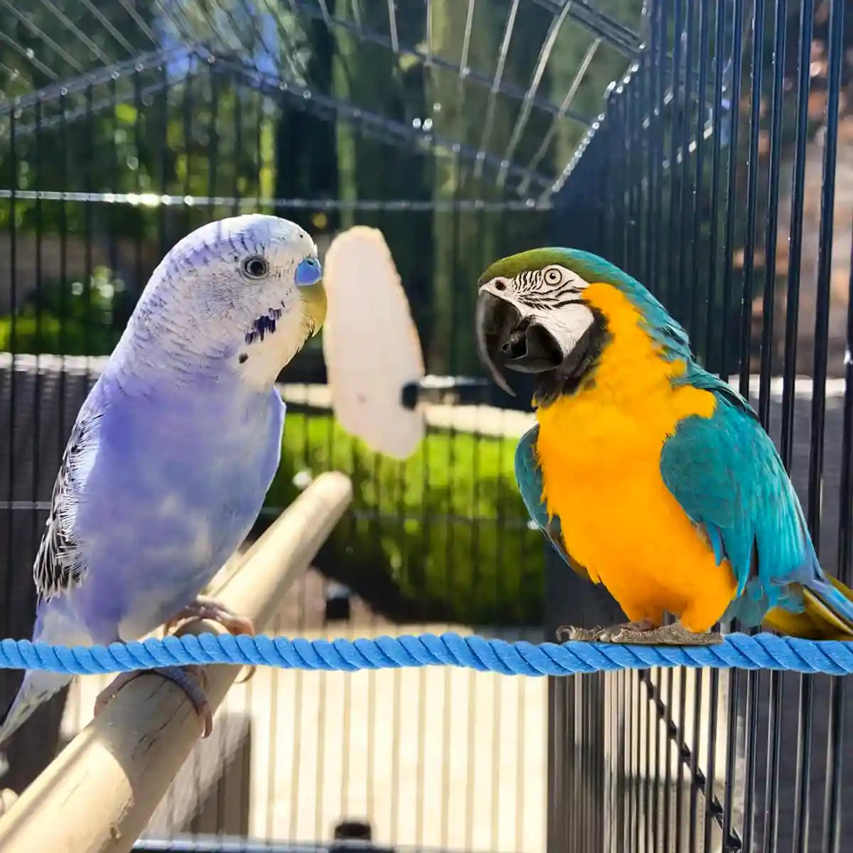 Flexible Bird Rope Perch for Parrots & Pet Birds 55–100cm Options