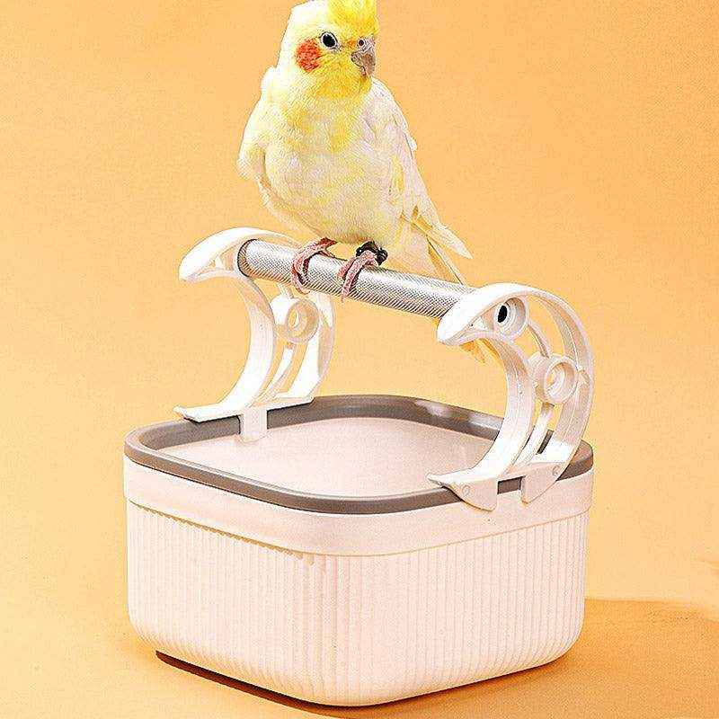 Durable Desktop Bird Stand for Training and Perching