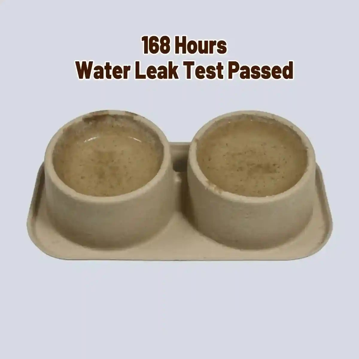 10PCS Disposable Pet Double Bowl Set Biodegradable with Tilt Design