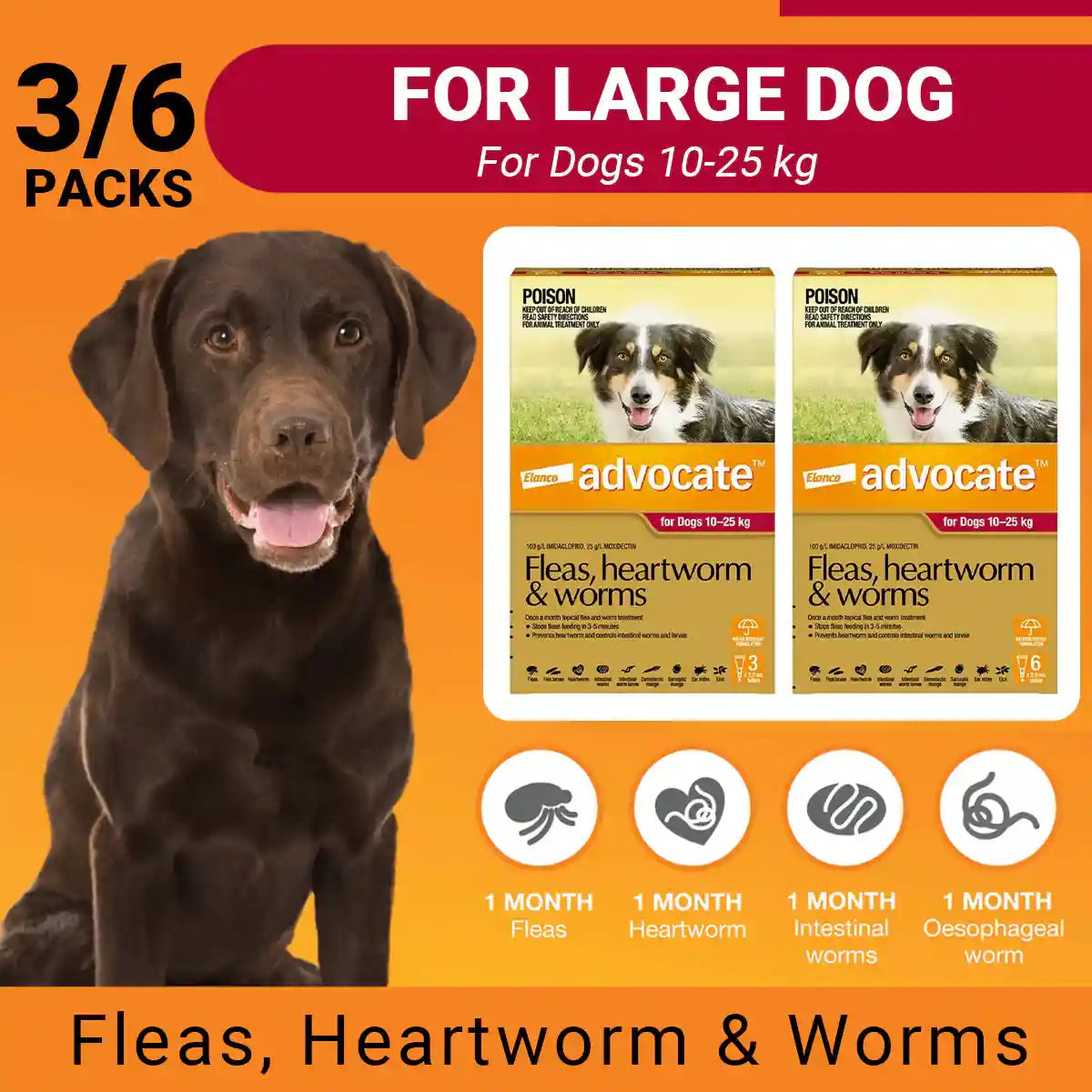 Advocate Spot-On For Dogs 10-25kg