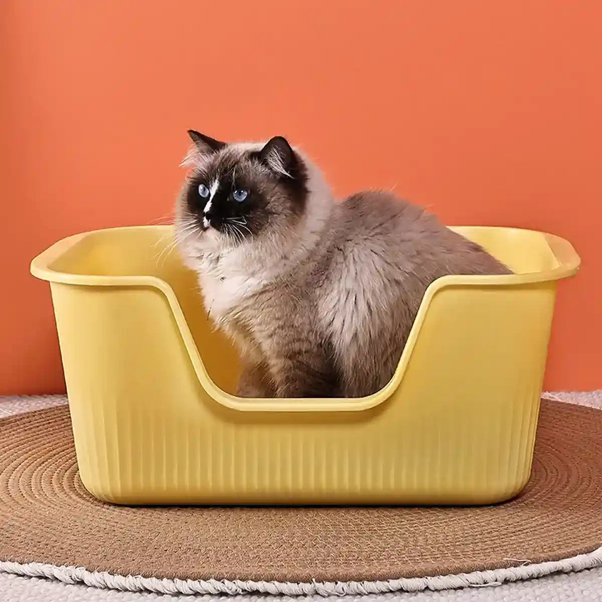 Semi-Enclosed Large Cat Litter Box for Multiple Cats Up to 15kg