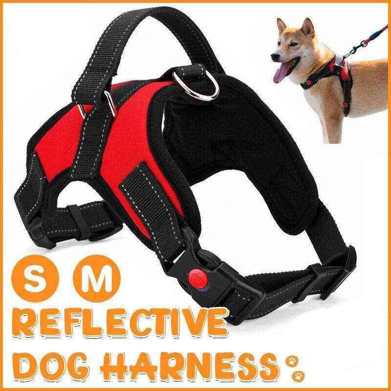 Front Range Dog Vest Harness - Comfort and Control for Your Dog
