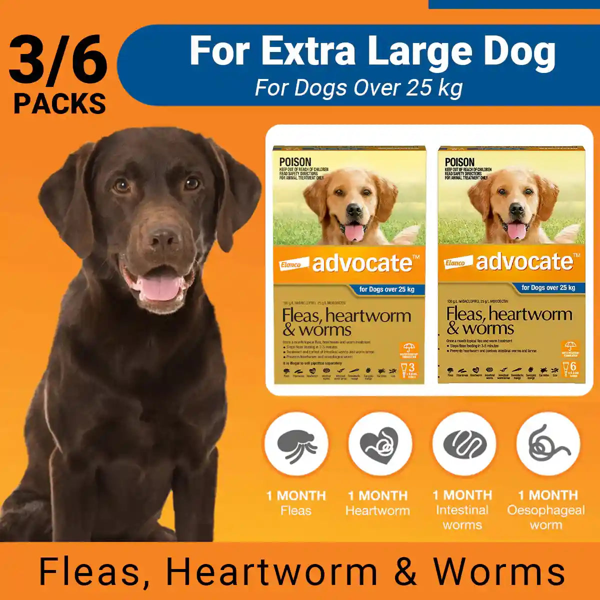 Advocate Spot-On For Large Dogs Over 25kg