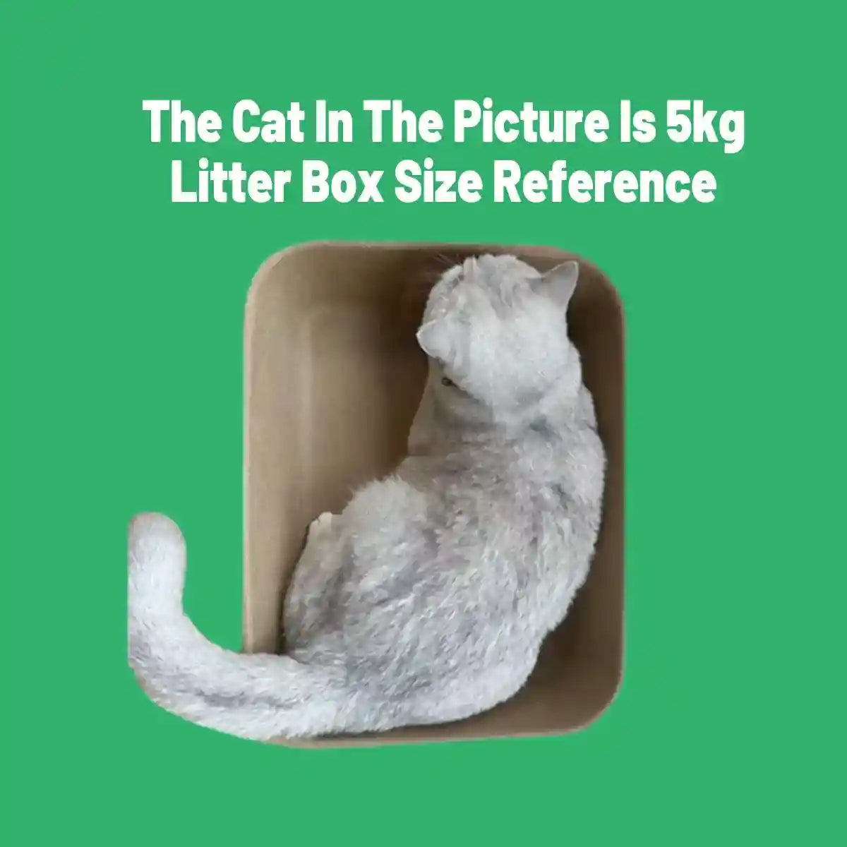10PCS Disposable Cat Litter Boxes Biodegradable Pulp with U-Shape Entry