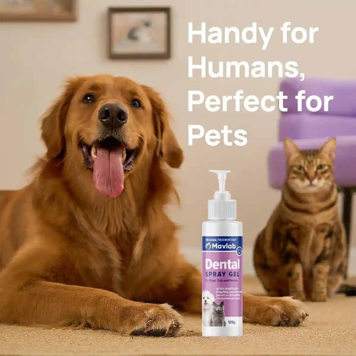 Mavlab Dental Spray Gel 125ml