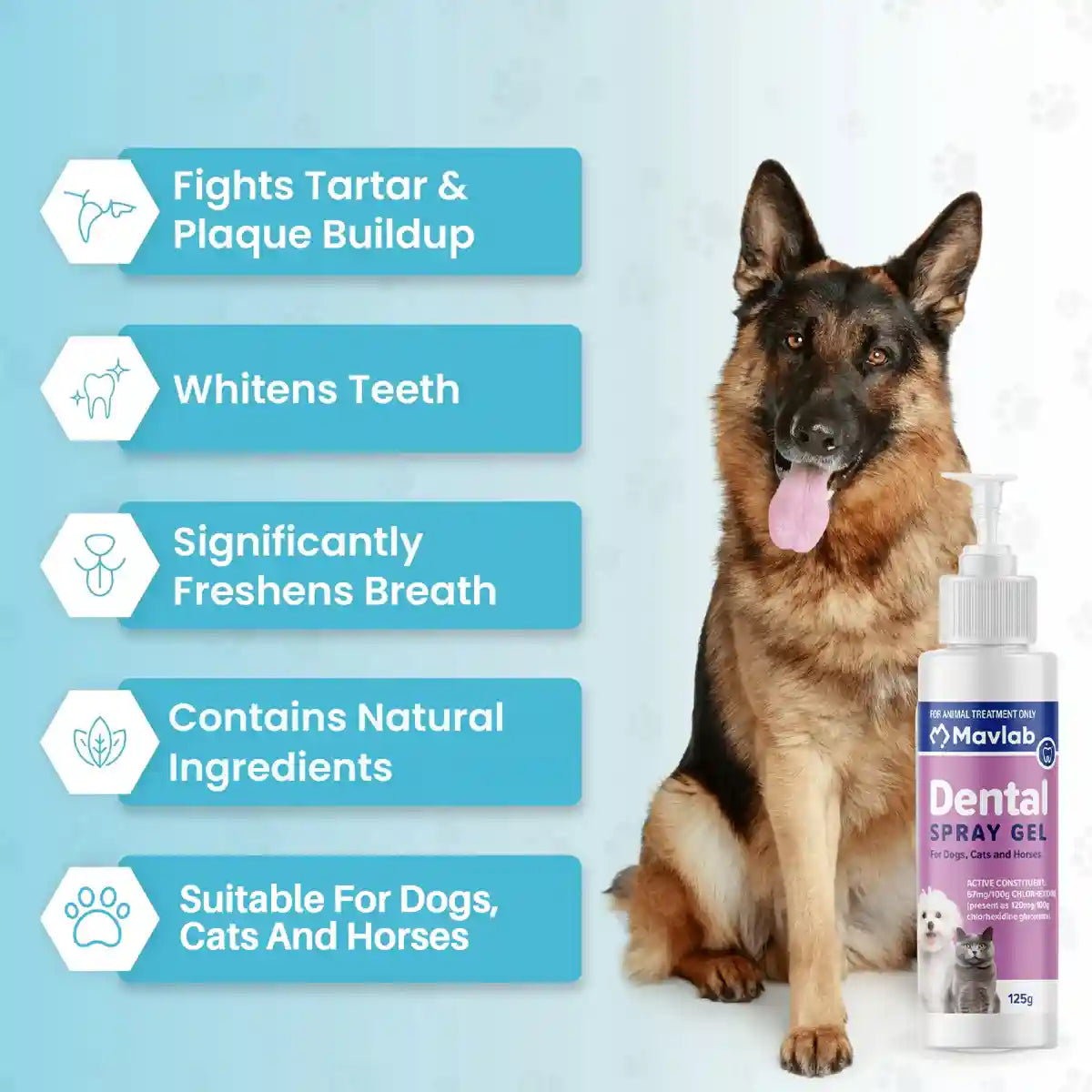 Mavlab Dental Spray Gel 125ml