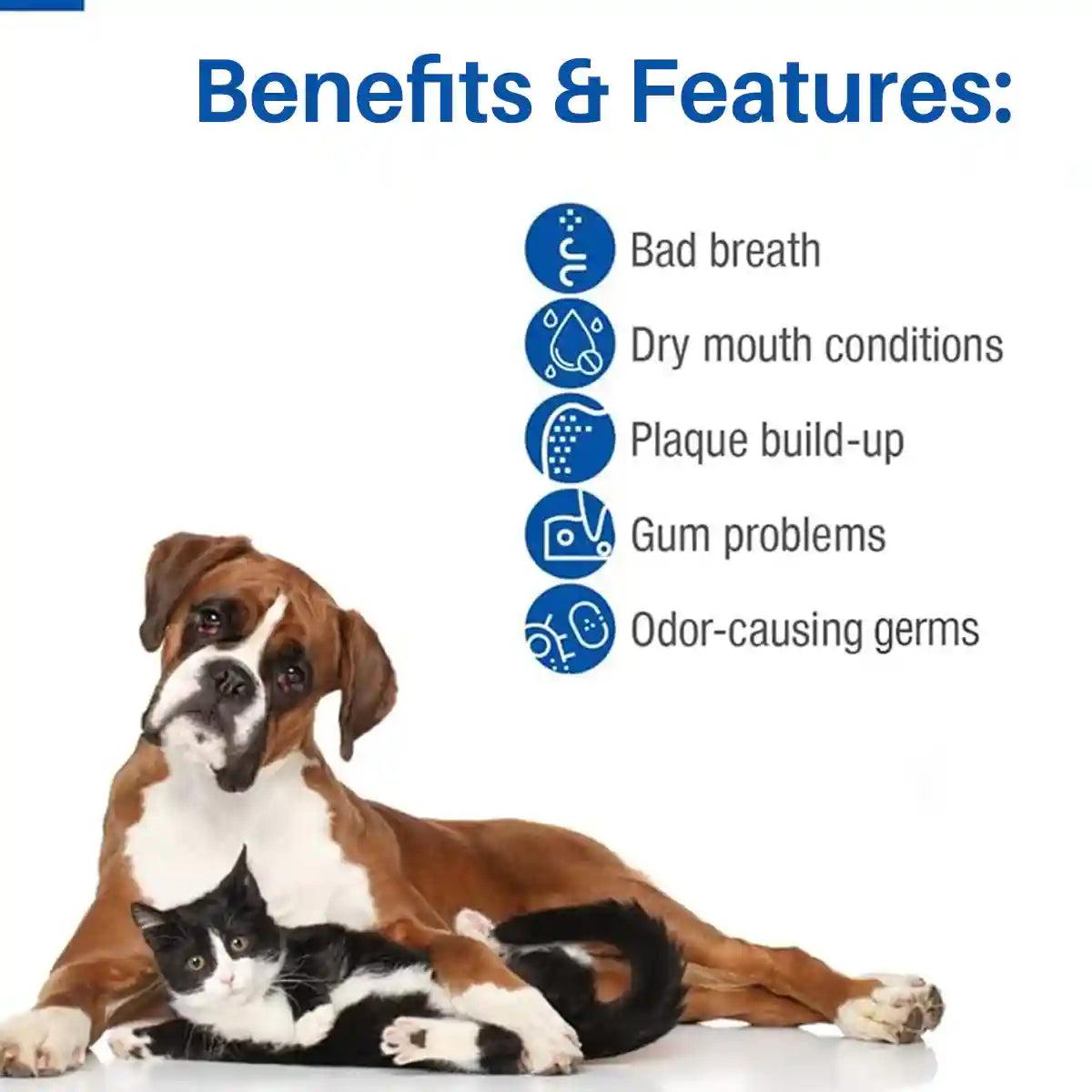 Mavlab Dental Spray Gel 125ml