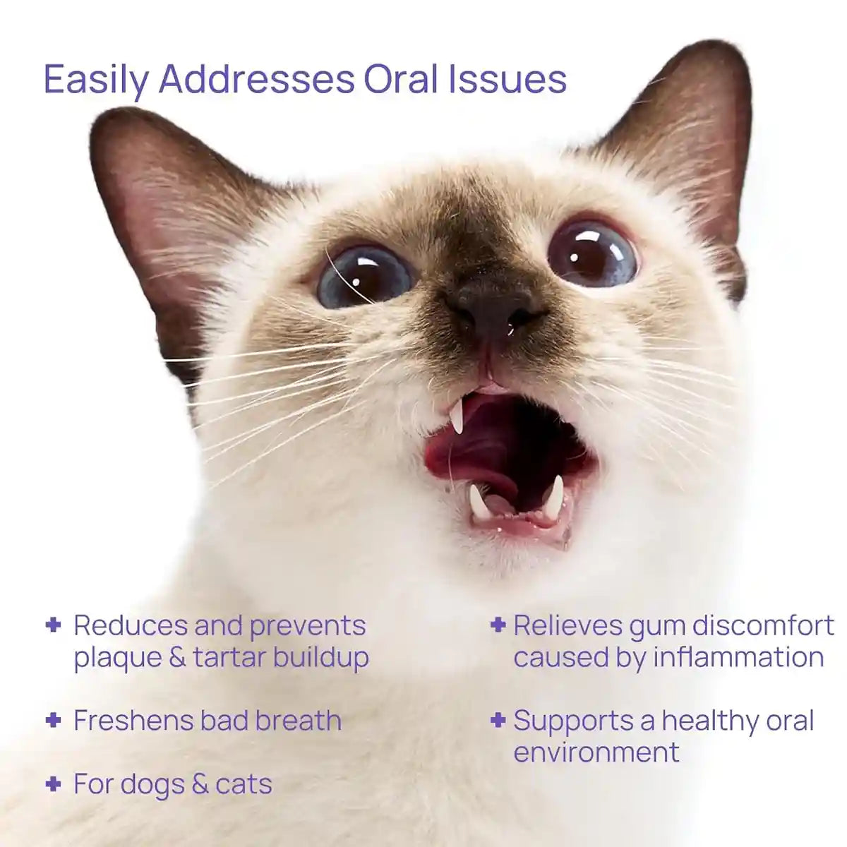 Mavlab Dental Spray Gel 125ml