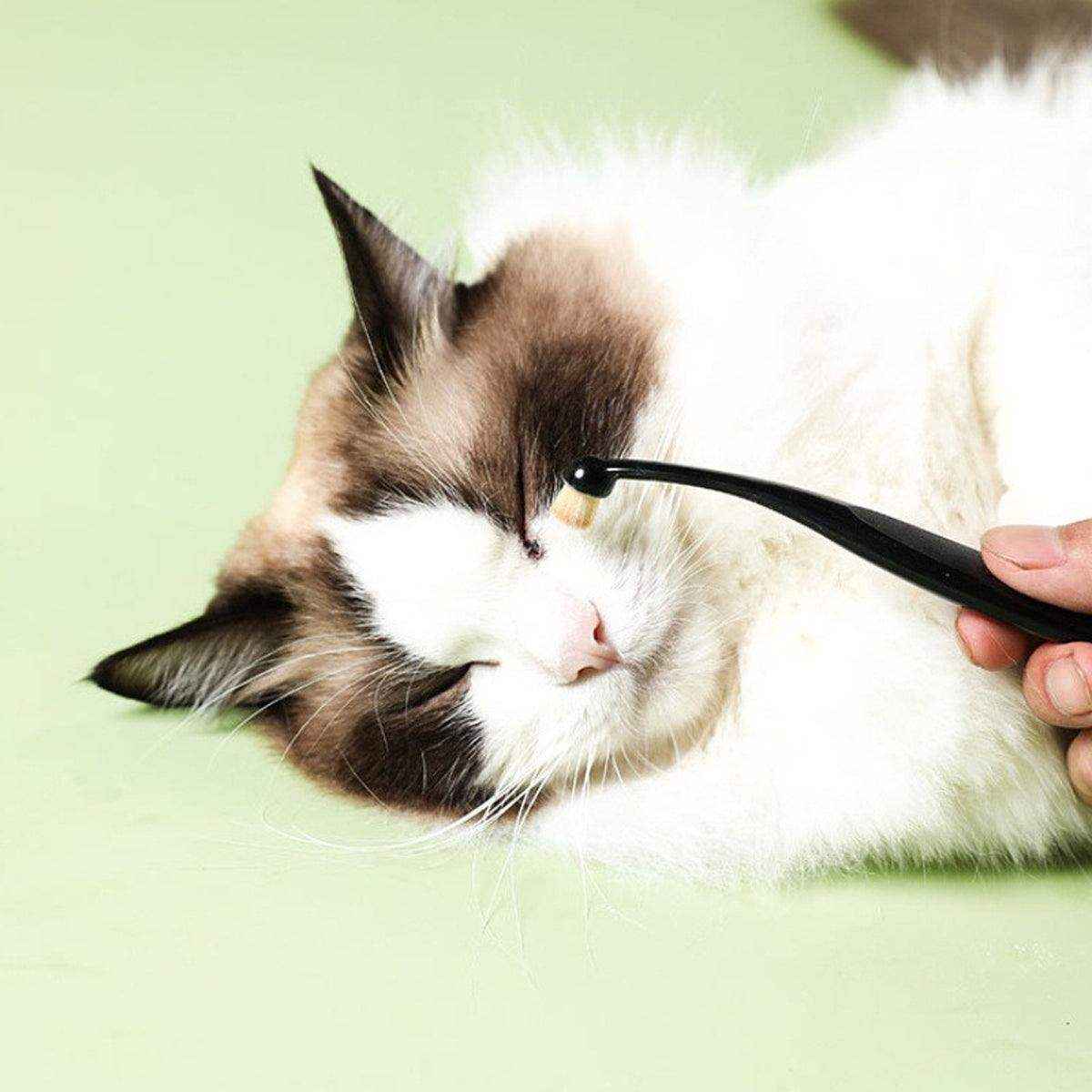 Pet Tear Stain Remover Brush Face Massager Acne Cleaning Tool for Cats and Dogs