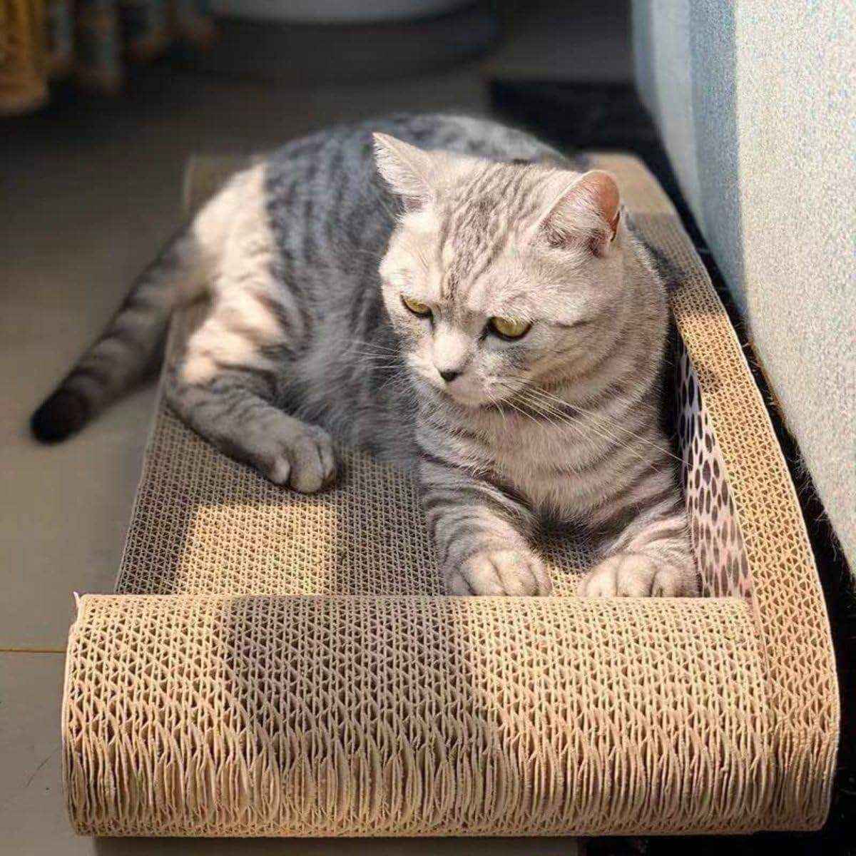 Leopard Print Sofa Lounge with Curved Cat Scratching Pad Surface