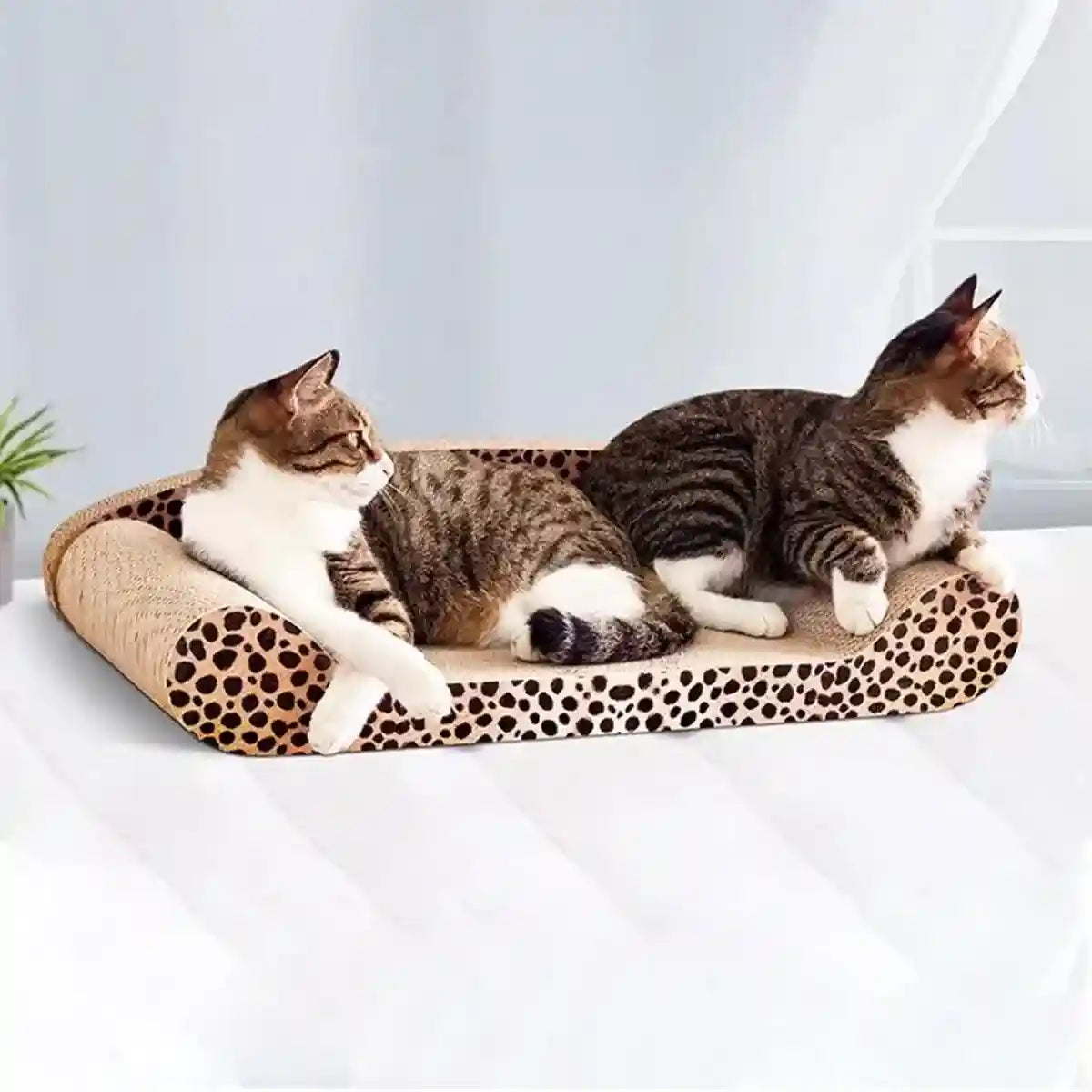 Leopard Print Sofa Lounge with Curved Cat Scratching Pad Surface