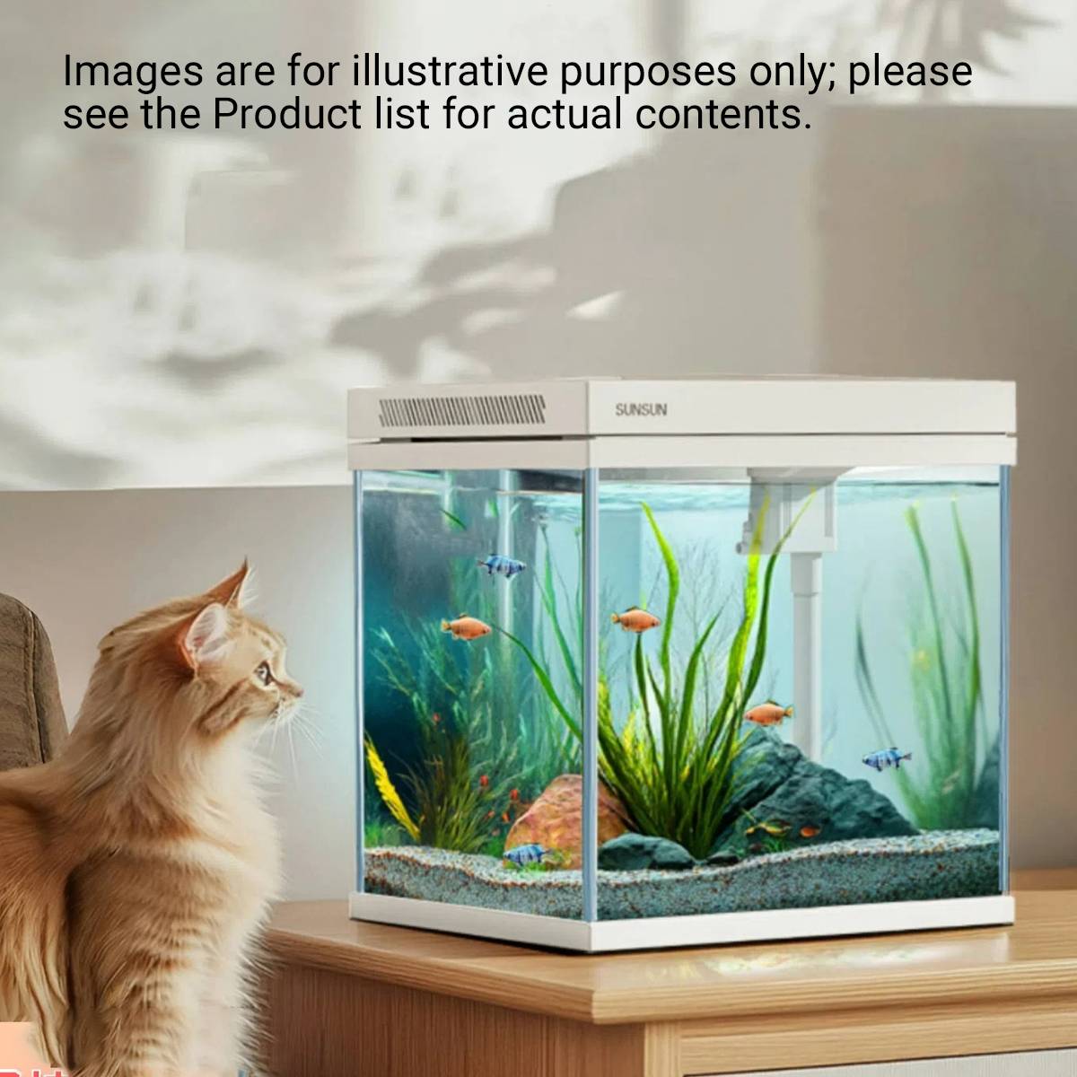 Self-Circulating Fish Tank - Sensense Super-White Living Aquarium