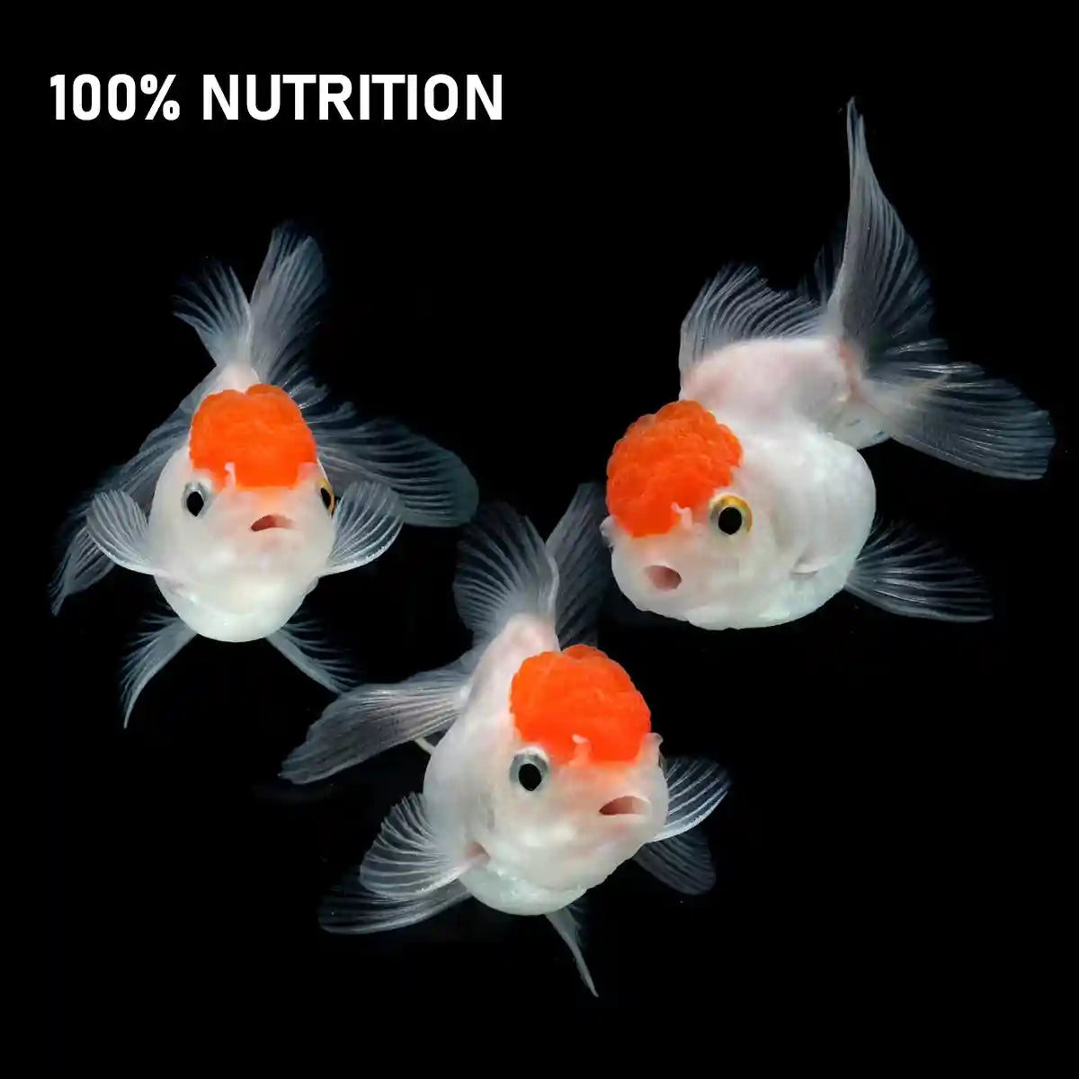 TETRA GOLDFISH WEEKEND 10CT 9G