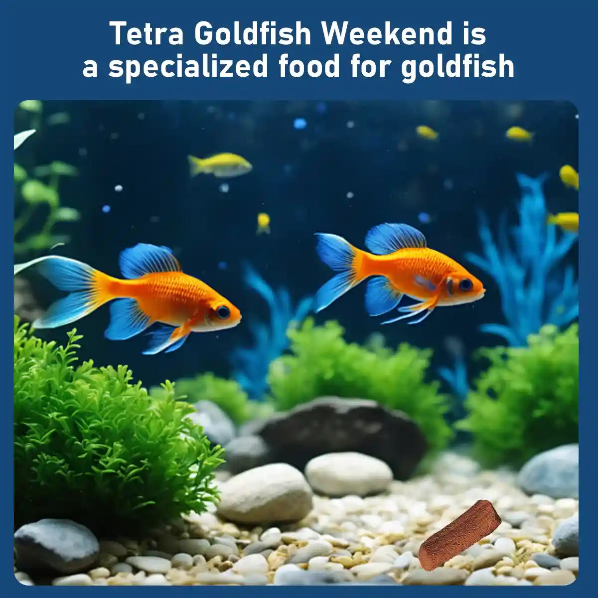TETRA GOLDFISH WEEKEND 10CT 9G