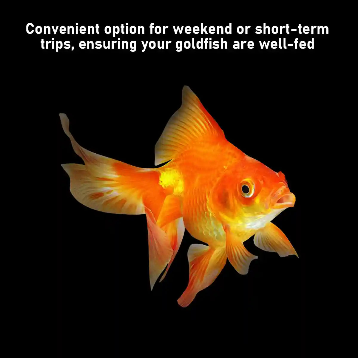 TETRA GOLDFISH WEEKEND 10CT 9G