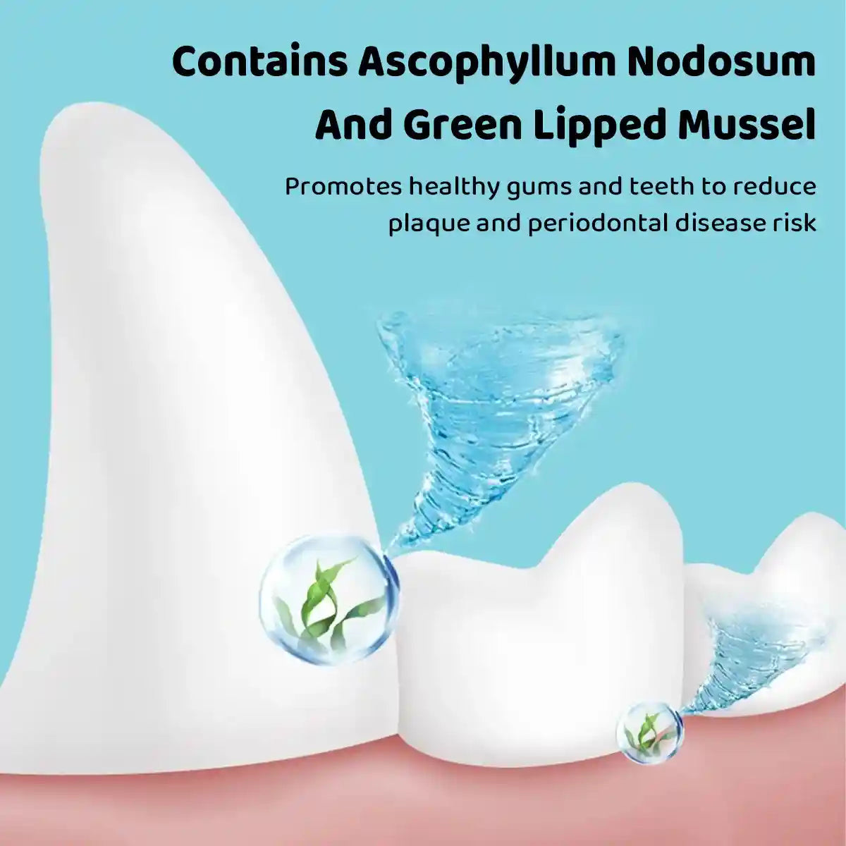 Mavlab DenteVet + Joint Powder â Dental & Joint Support For Pets