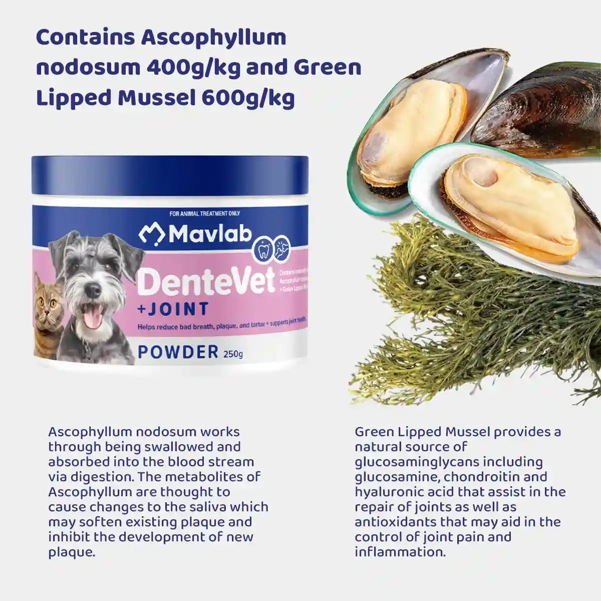 Mavlab DenteVet + Joint Powder â Dental & Joint Support For Pets