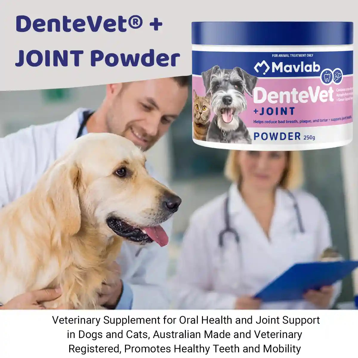 Mavlab DenteVet + Joint Powder â Dental & Joint Support For Pets