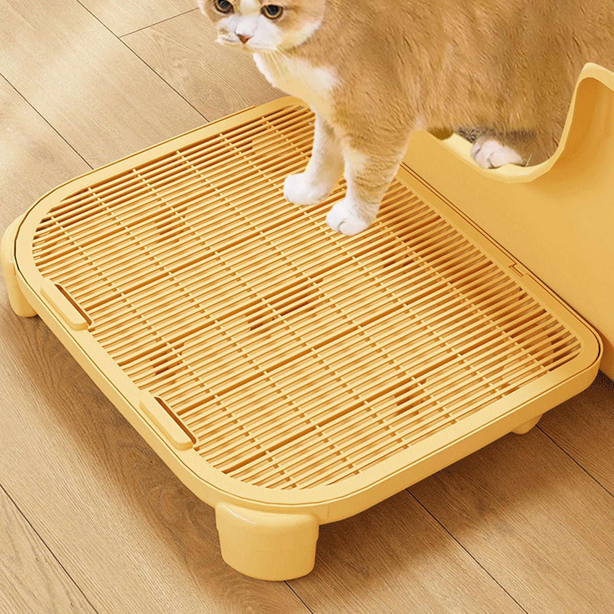 Double Layer Cat Litter Mat With Deep Tray Design