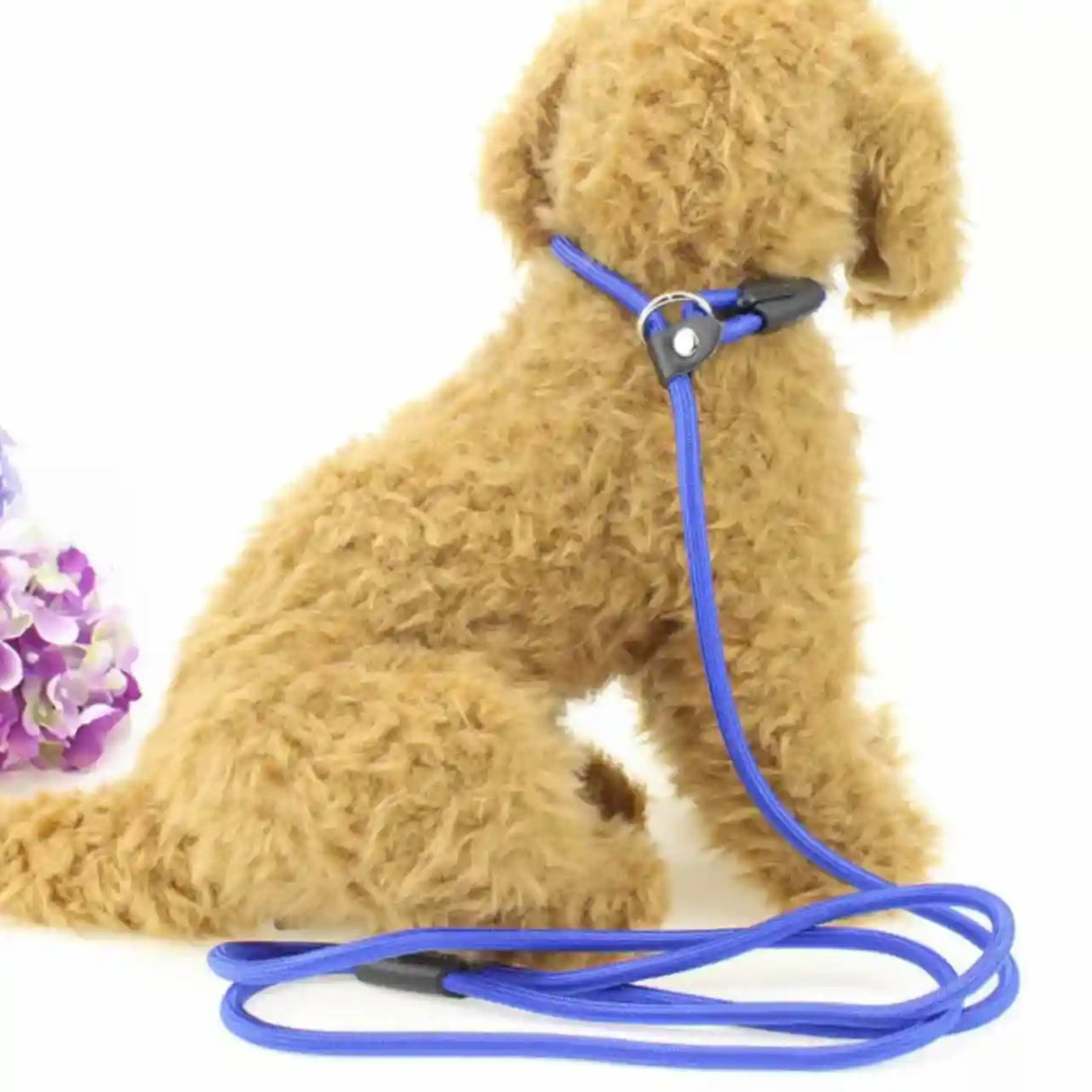 Dog Training Correction Leash Brown