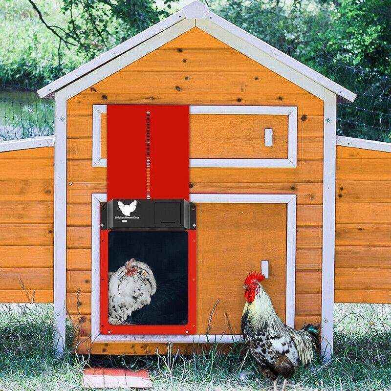 Reliable Automatic Chicken Coop Door with Light Sensor 35x24xcm