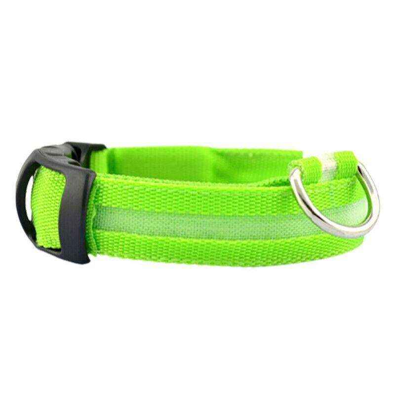 USB Rechargeable Glow Dog Collar LED Light-Up Safety Collar for Night Walks