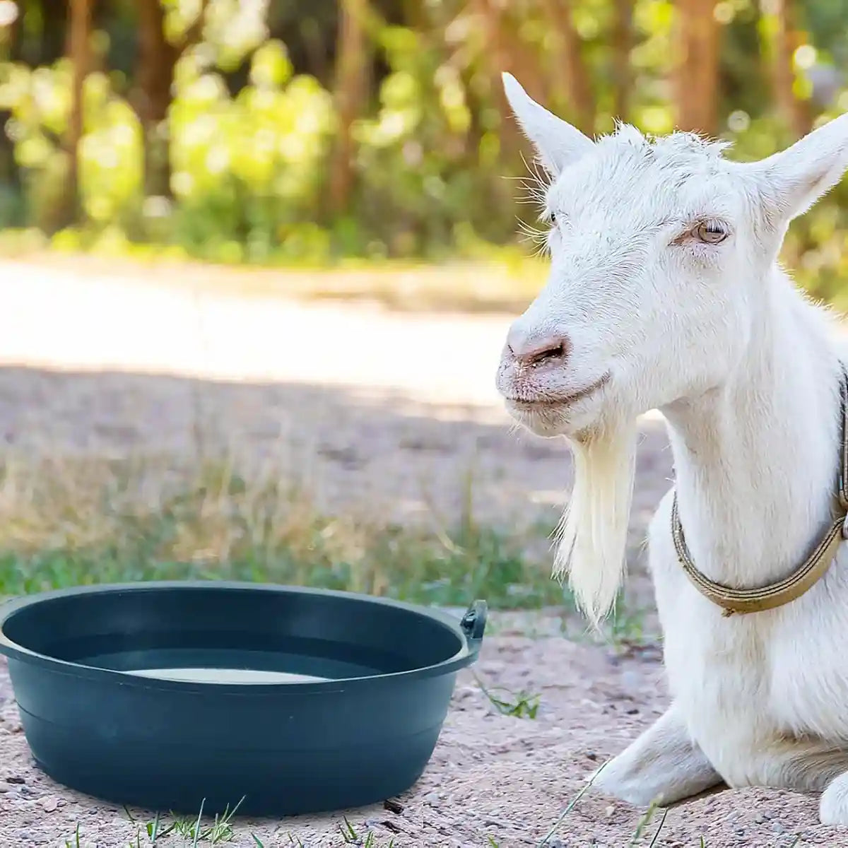 Heavy-Duty Rubber Farming Trough Basin 6PCS Set