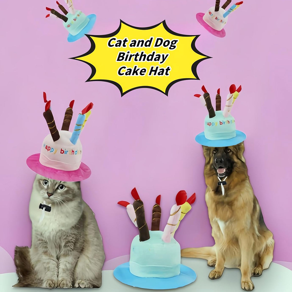 Pet Birthday Hat