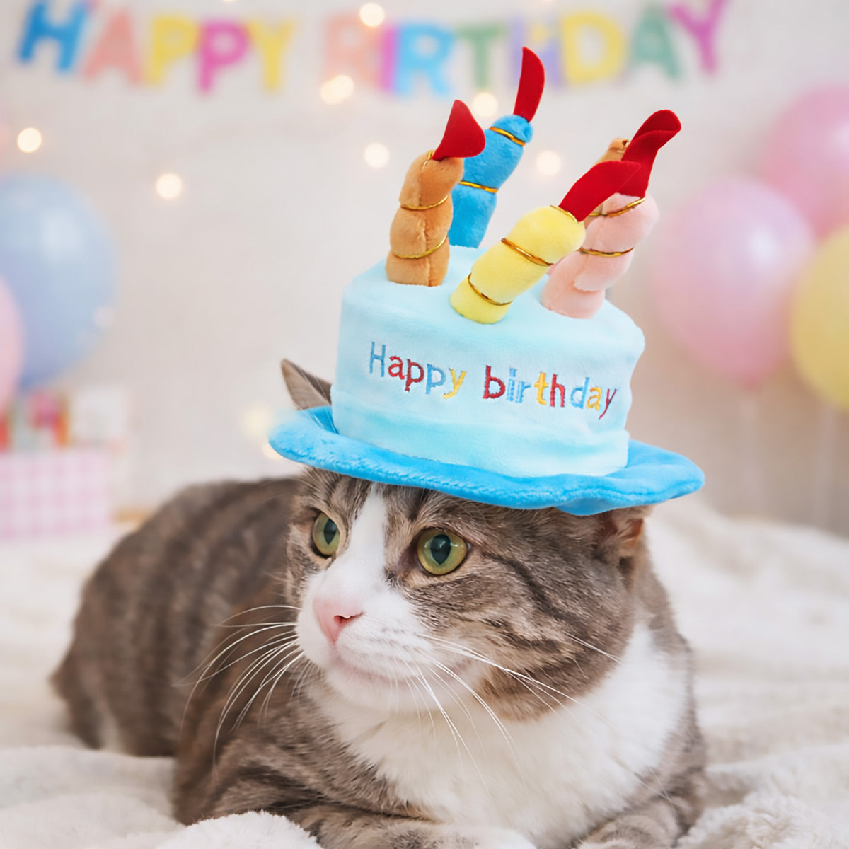Pet Birthday Hat