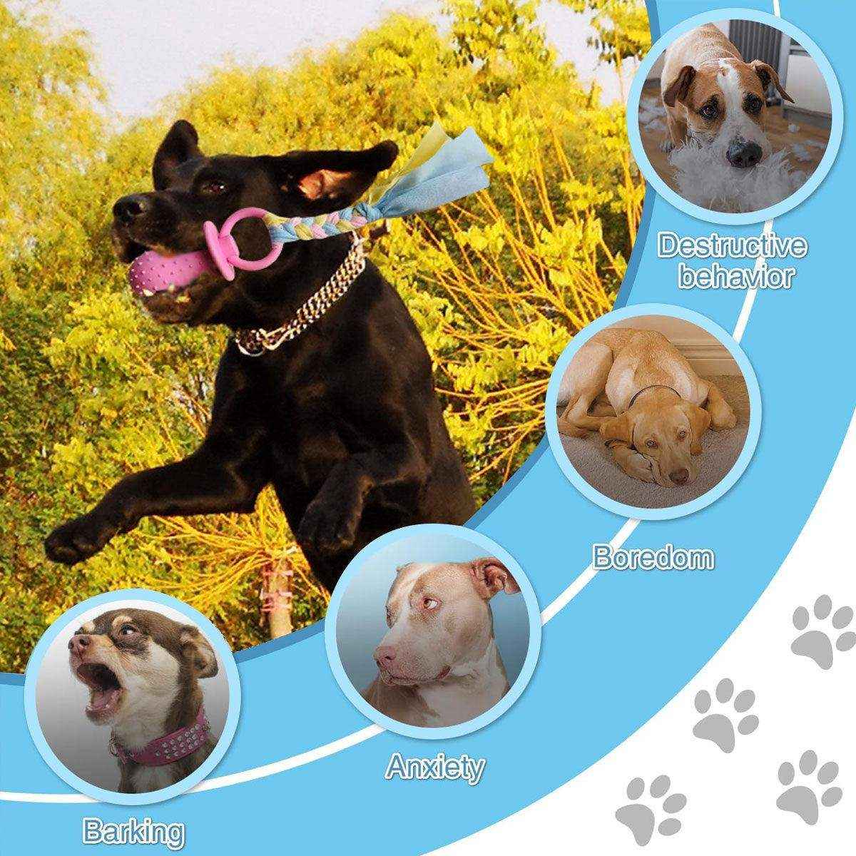 Pacifier Tug Rope Set with Dog Chew Toy for Puppies and Small Dogs