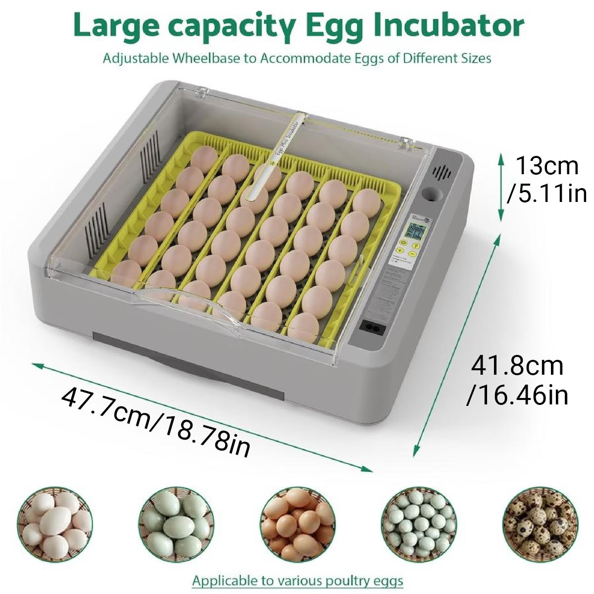 New 36 Incubator Chicken Incubator Full-automatic Hatching Equipment Incubator Rutin Chicken Incubator