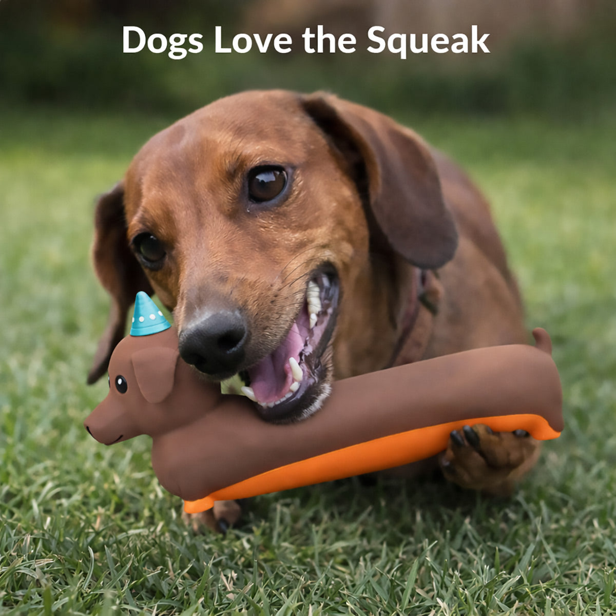 Latex Squeaky Dog Toy Dachshund Design
