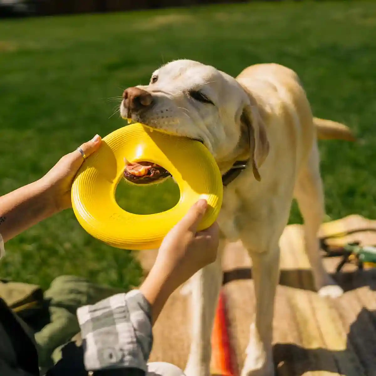 Earth Rated Durable Dog Flyer Toy Floating Flying Disc for Active Fetch Play