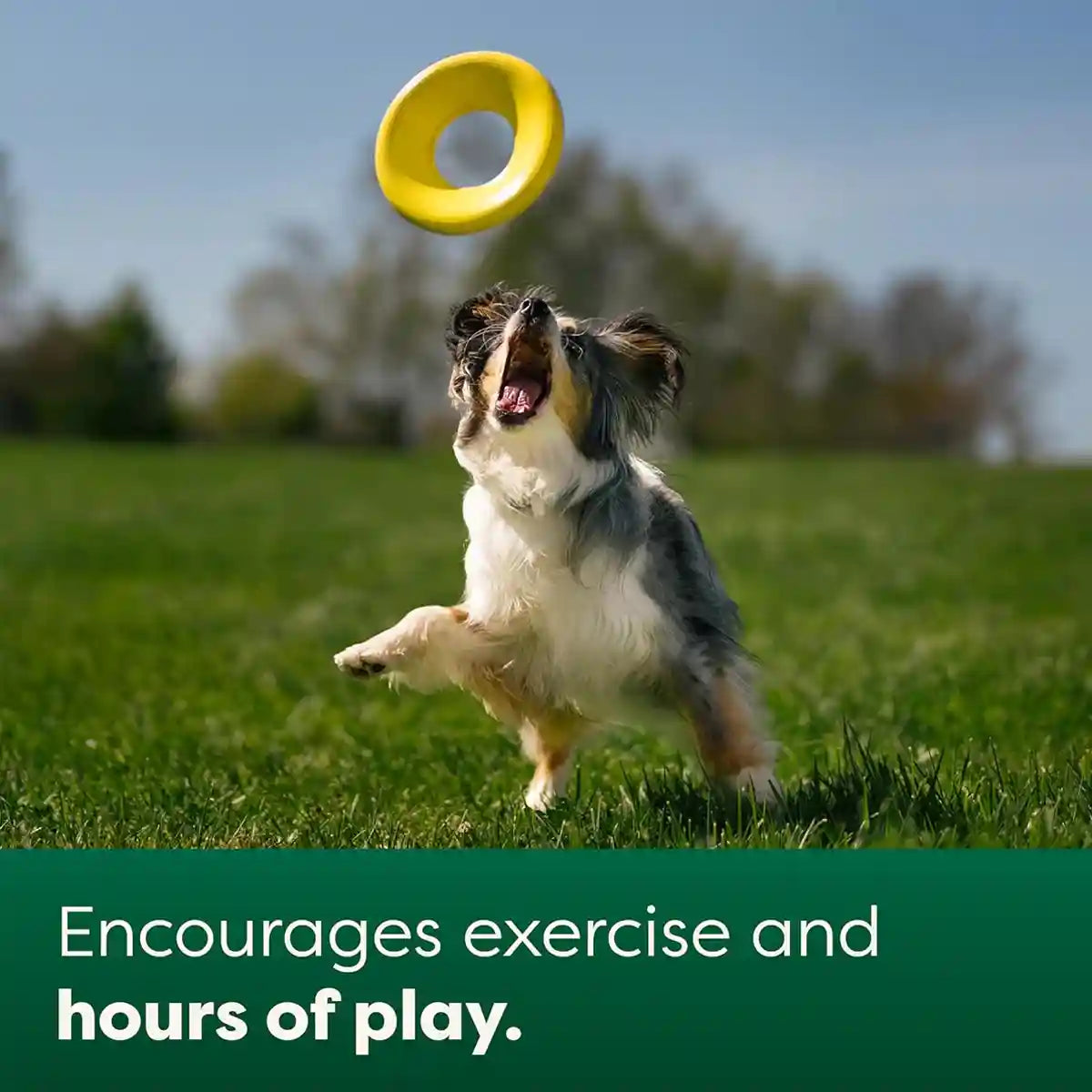 Earth Rated Durable Dog Flyer Toy Floating Flying Disc for Active Fetch Play