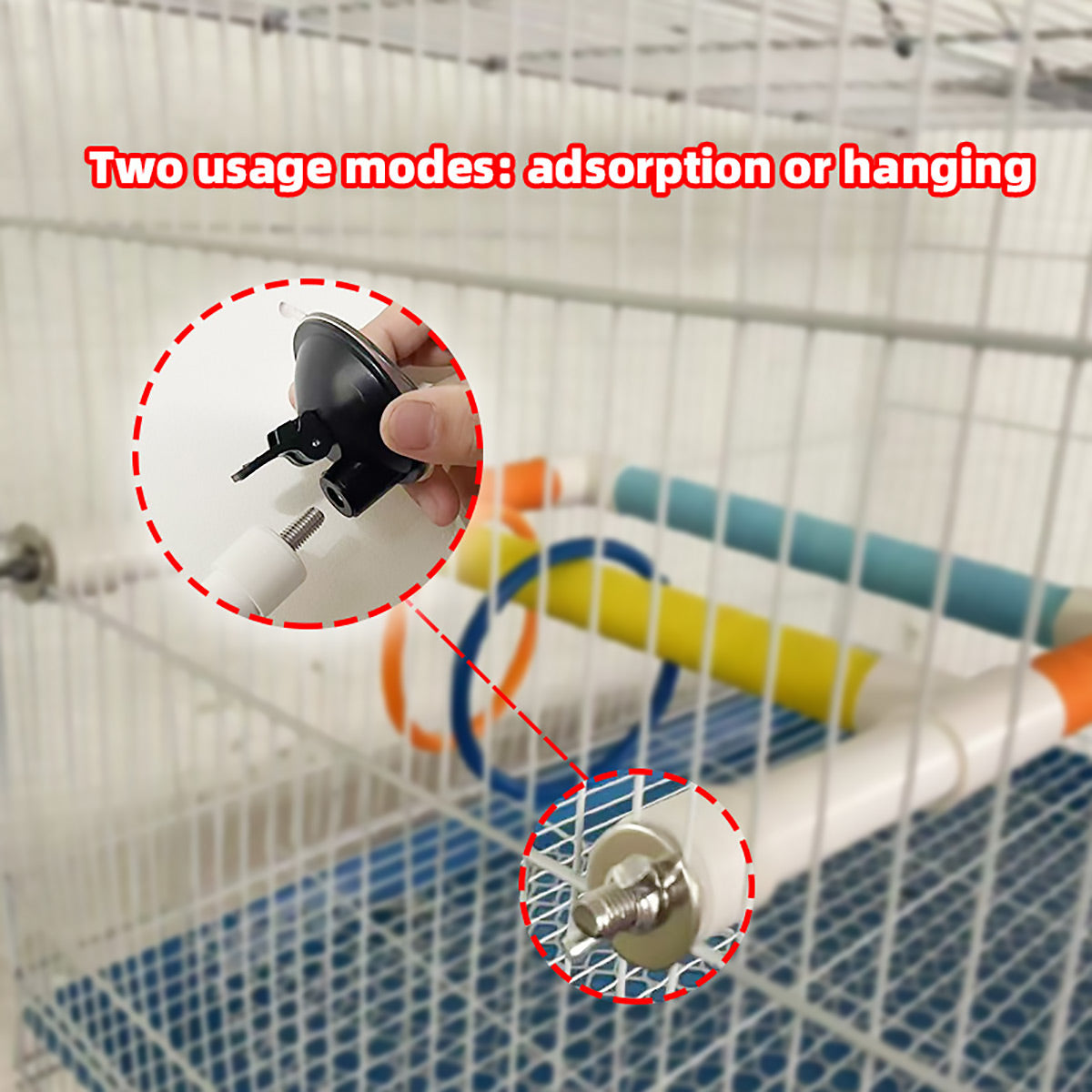Colorful Parrot Perch With Suction Cups Window Bird Play Stand