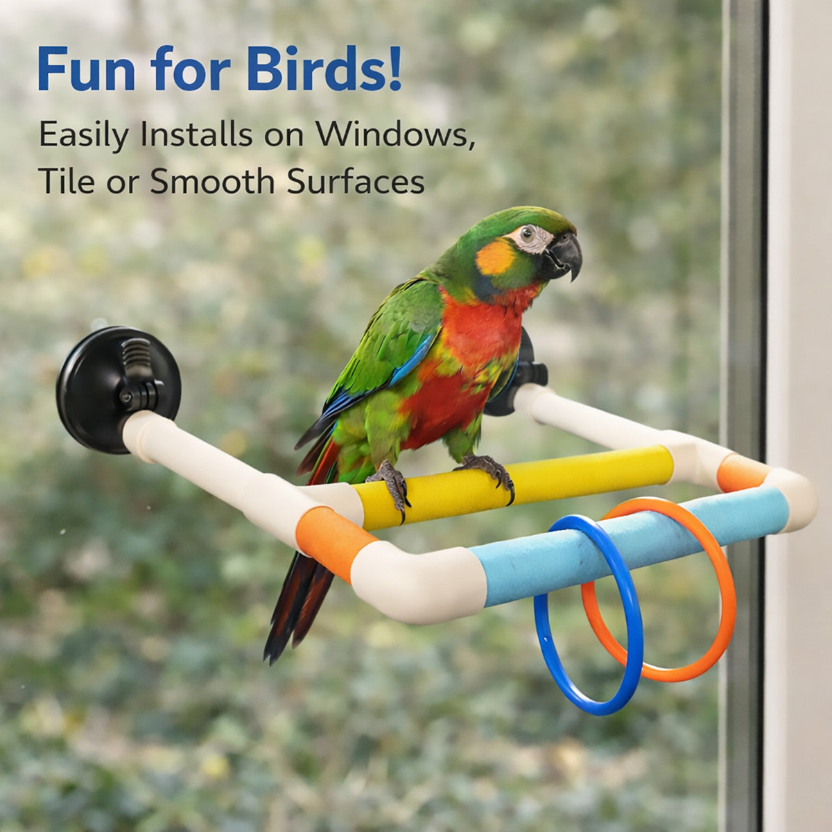 Colorful Parrot Perch With Suction Cups Window Bird Play Stand