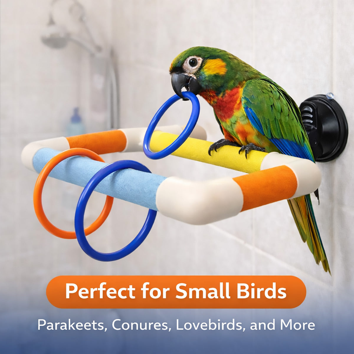 Colorful Parrot Perch With Suction Cups Window Bird Play Stand
