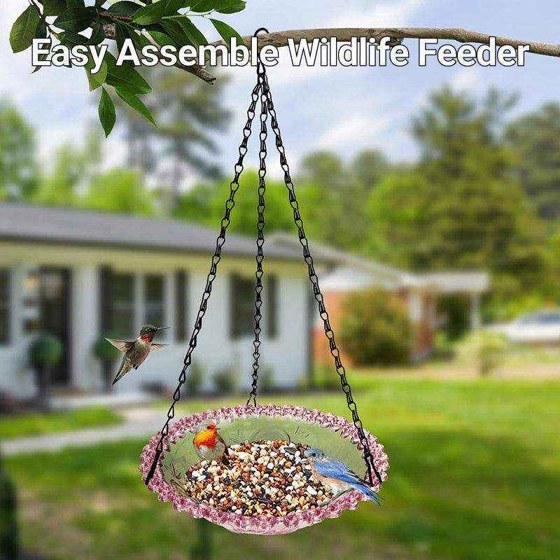 Hanging Glass Bird Feeder Decorative Outdoor Bird Feeding Bowl with Metal Chain