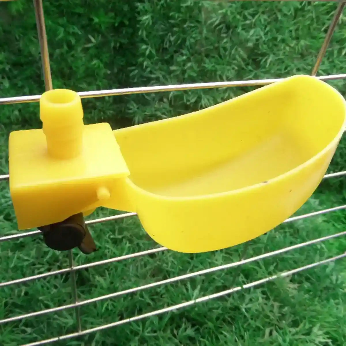 12PCS Automatic Bird Drinker Bowl for Quail and Small Poultry Cages