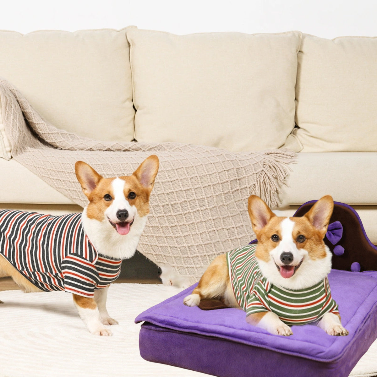 Plush Pet Bed Sofa With Removable Cushion