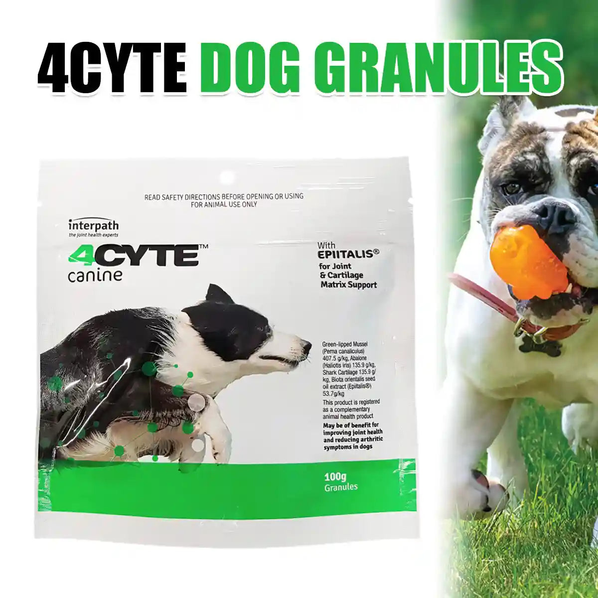 100G 4CYTE DOG GRANULES