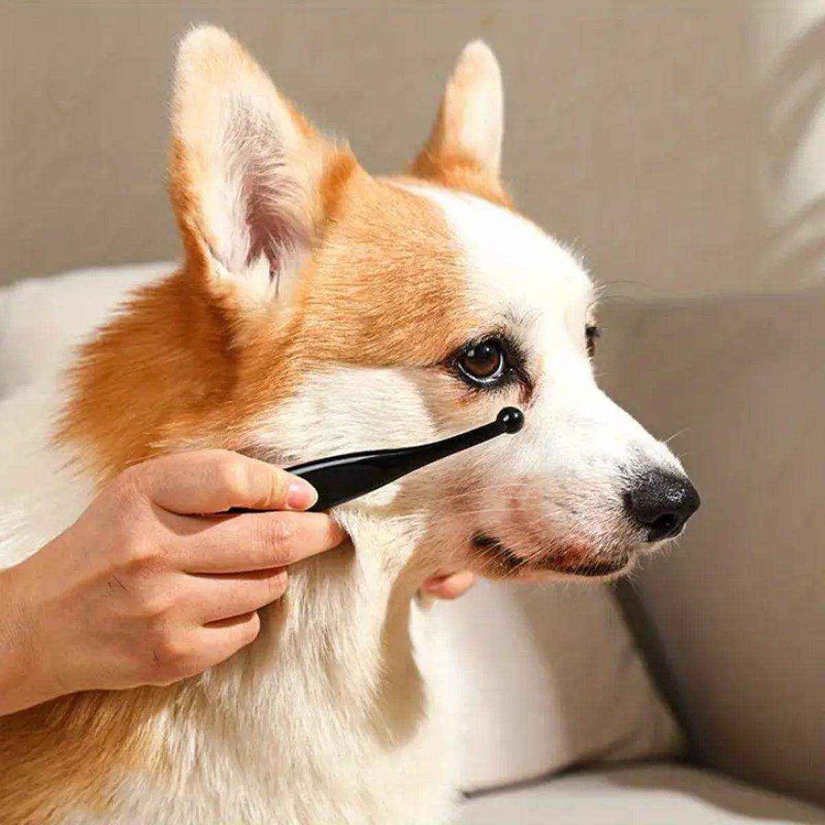 Pet Tear Stain Remover Brush Face Massager Acne Cleaning Tool for Cats and Dogs