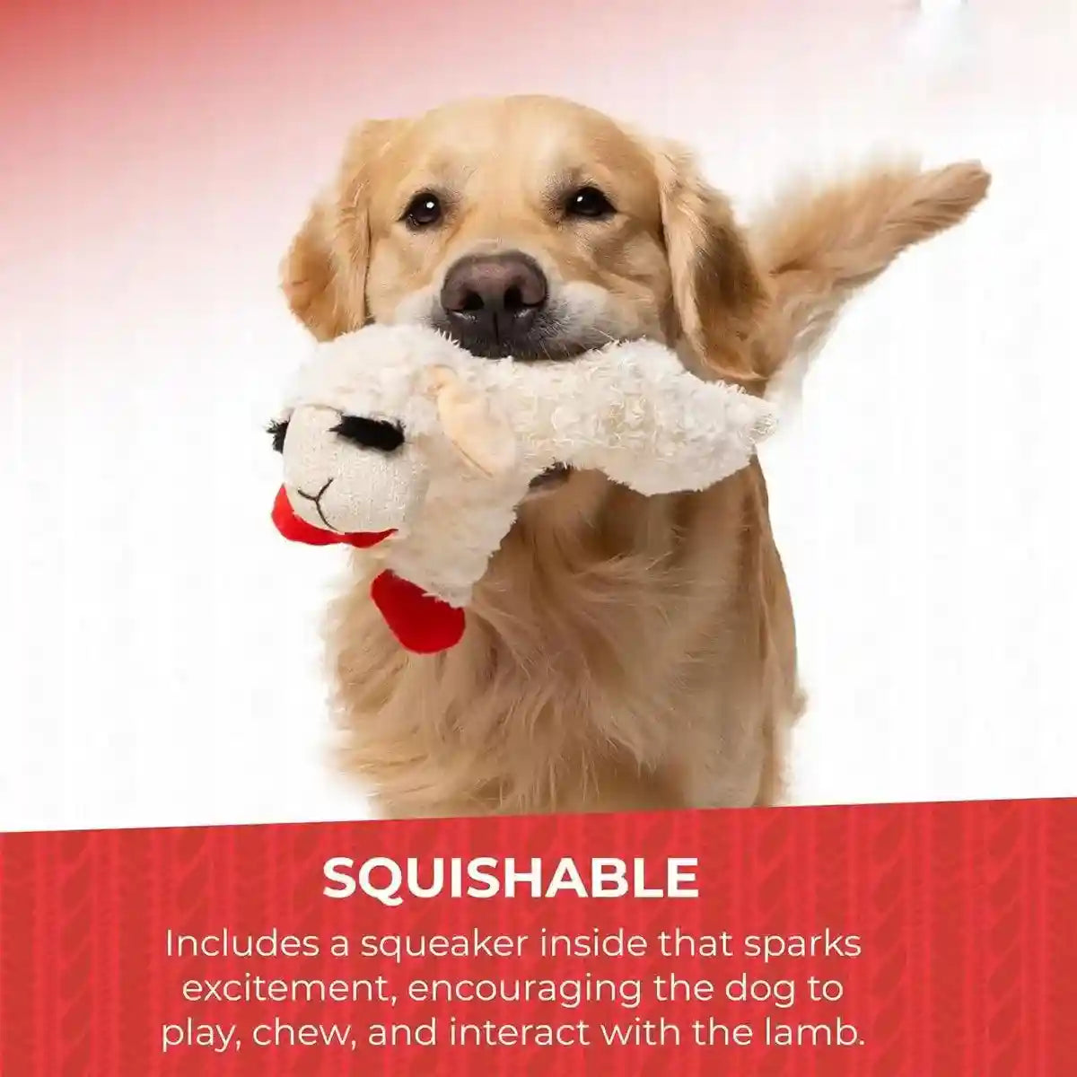 Soft Plush Dog Toy with Squeaker Chew & Interactive Play