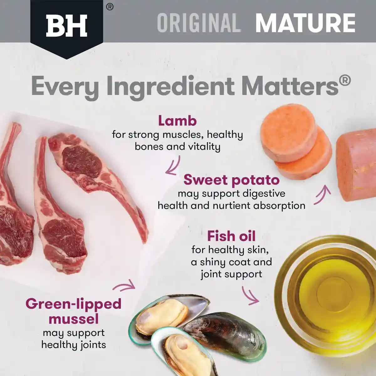 Black Hawk Mature Dog Food Lamb & Rice 20kg