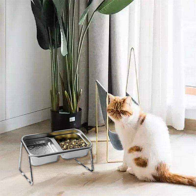 Elevate Mealtime with This Ergonomic Stainless Steel Cat Bowl Set