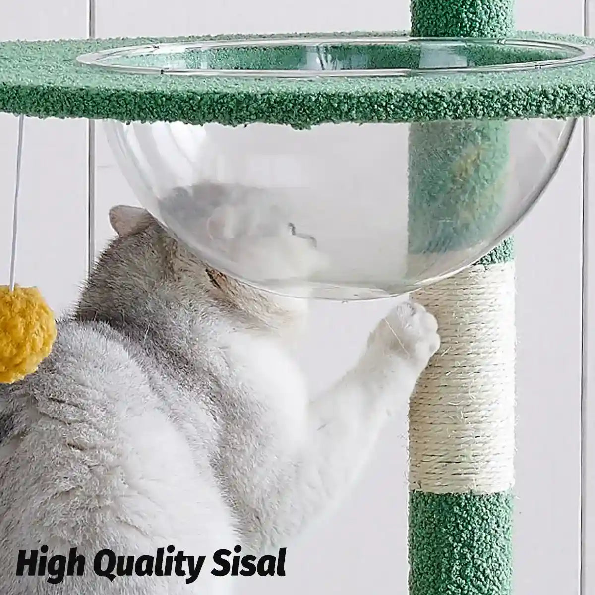 Cactus Cat Tree Tower with Capsule Bed and Multi-Level Scratching Posts