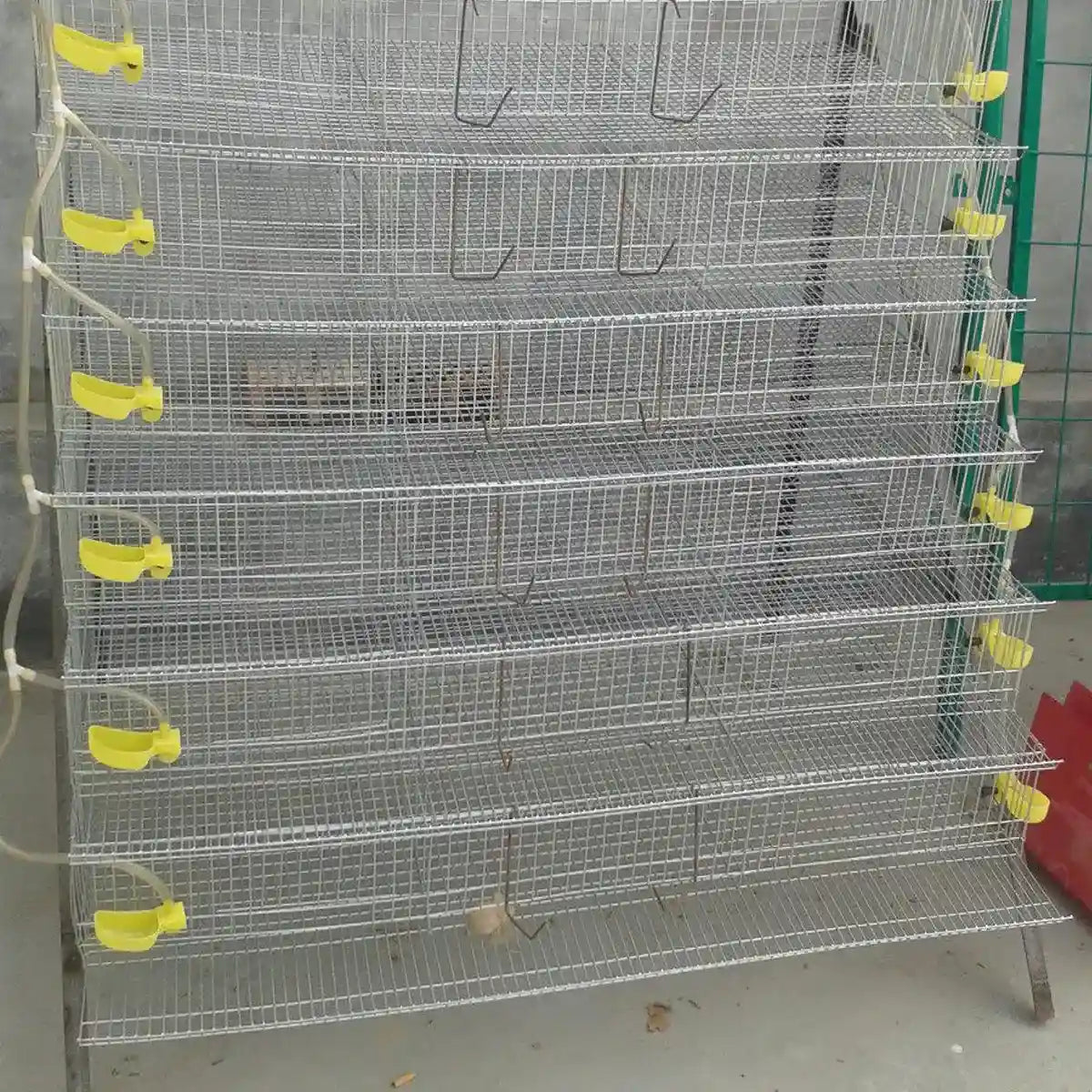 12PCS Automatic Bird Drinker Bowl for Quail and Small Poultry Cages